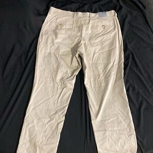Express dress pants